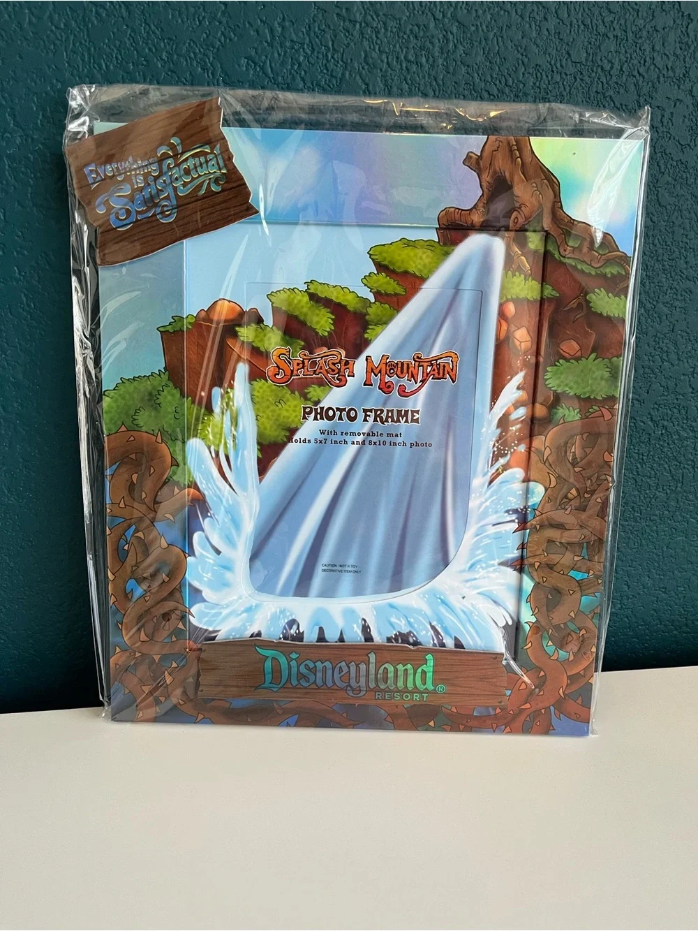 Vintage Magic Kingdom Disneyland Resort Splash Mountain Picture Frame 5x7” 8x10”
